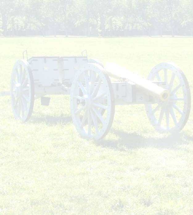Cannon

